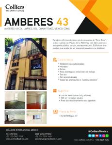 Amberes 43-2019