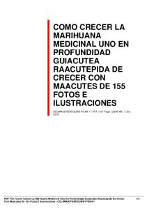 como crecer la marihuana medicinal uno en profundidad guiacutea