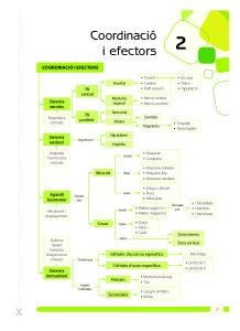 Coordinació i efectors