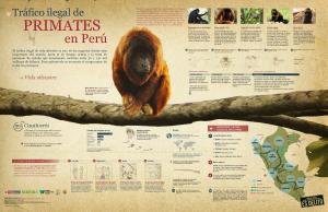 Infografía-Tráfico-Ilegal-de-Primates-en-Perú-[PDF online] - WCS Perú