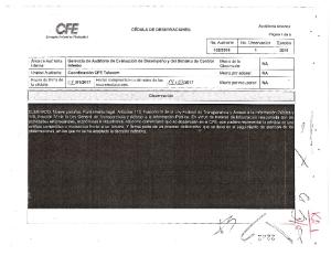 Page 1 r Auditoria Interna FE CEDULA DE OBSERVACIONES 