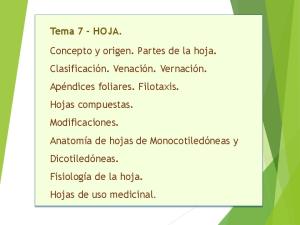 Tema 7 - HOJA. Concepto y origen. Partes de la hoja. Clasificación ...