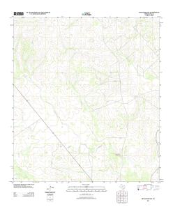 USGS 7.5-minute image map for Benavides NW ... - The National Map